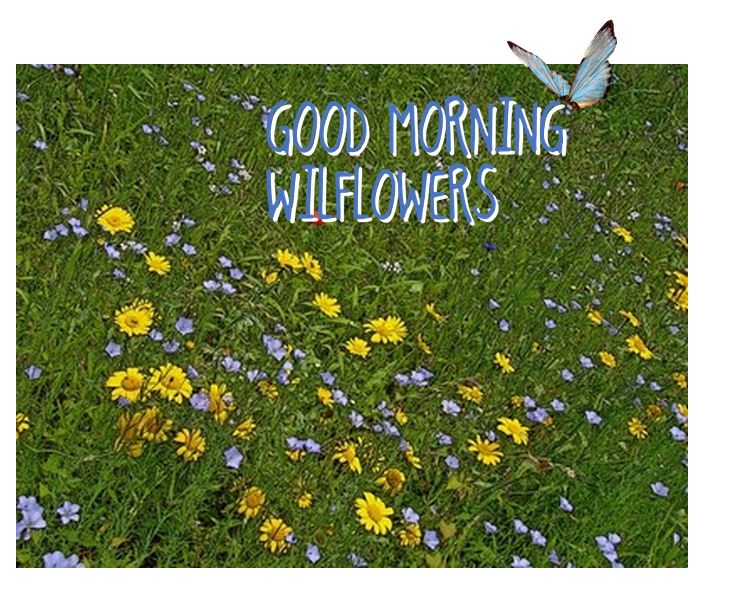 photo by MichelleMarie