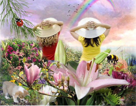 didyouseethatrainbow