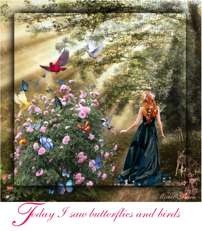 todayIsawbutterlifesandbirds