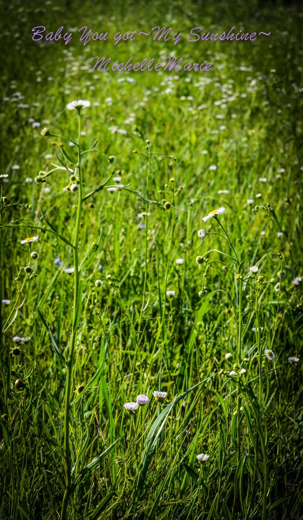 babyyougotmysunshine (1 of 1)