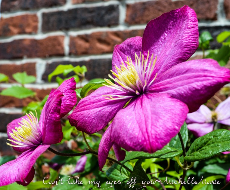 Canttakemyeyesoffyou 