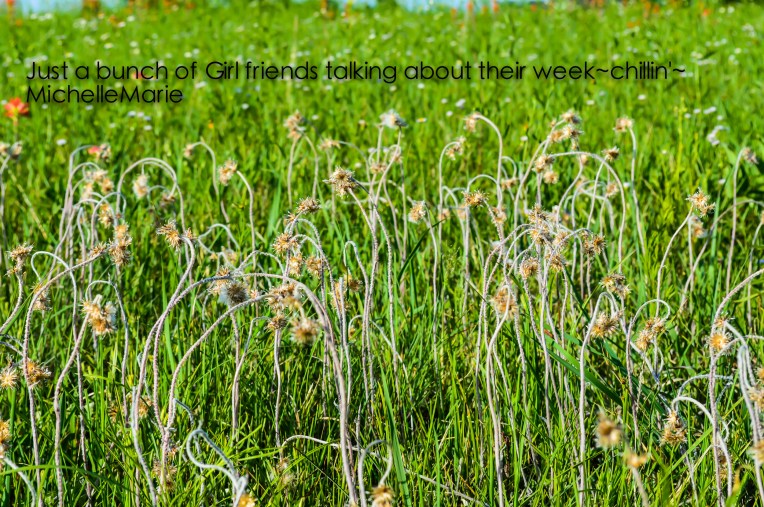 girlfriendsalltalking (1 of 1)