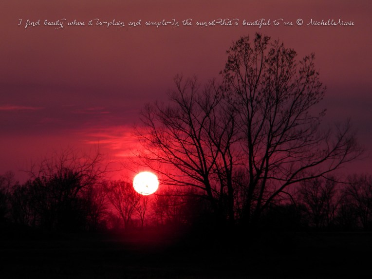 Ifindbeautyhere (1 of 1)-3