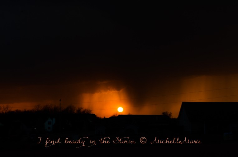 Ifindbeautyhere (1 of 1)