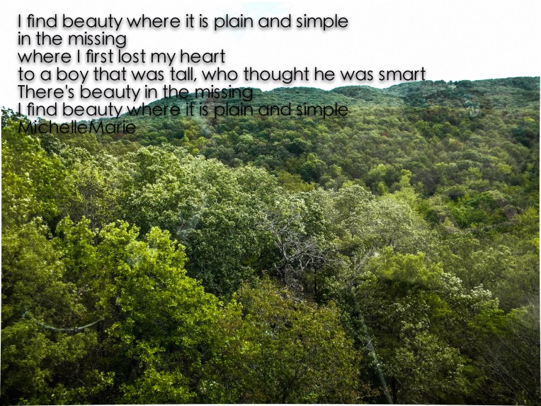 Ifindbeautyinthebridges (1 of 1)-2