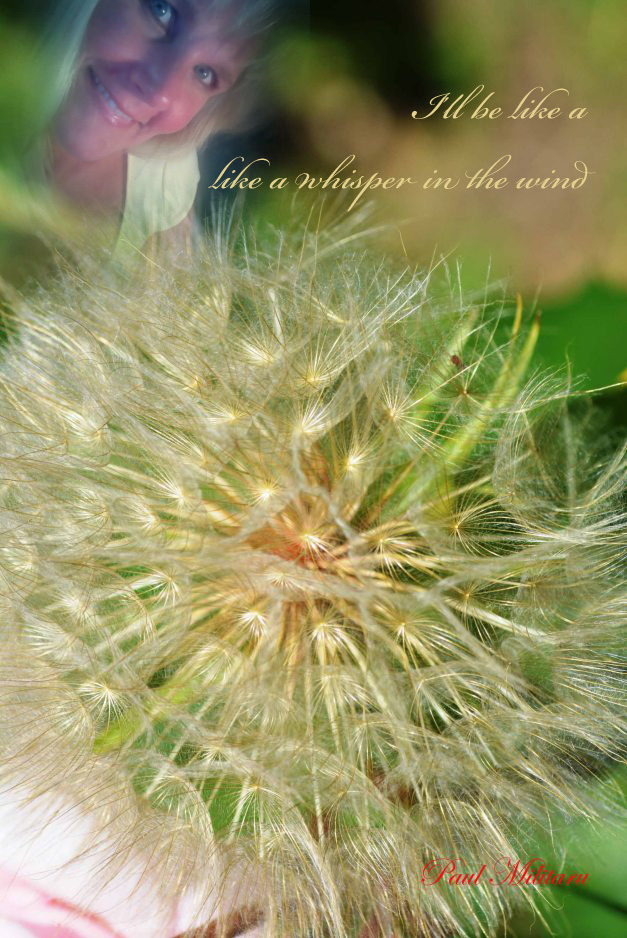 likeawhisperinthewind