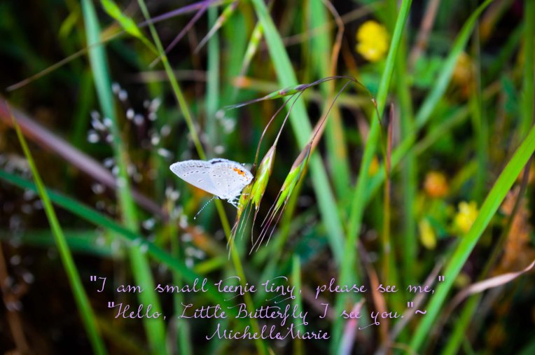 Nobiggerthenyourthumb (1 of 1)