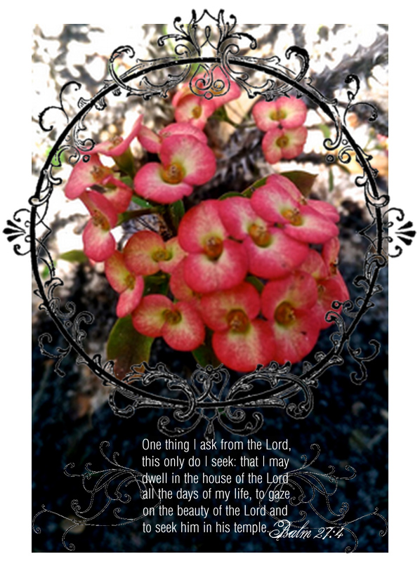 onethingIaskoftheLORD