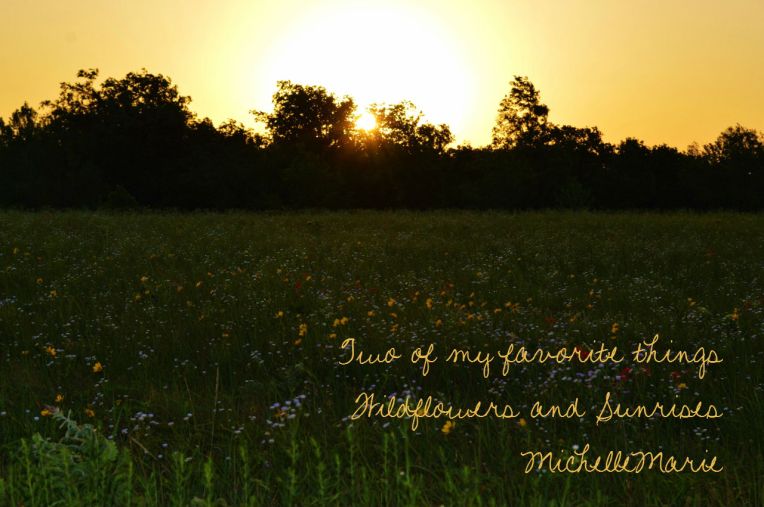 WildflowerSunrise
