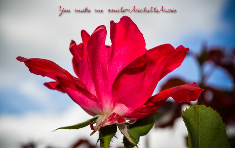 youmakemesmile (1 of 1)