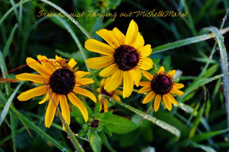 friends just hanging out