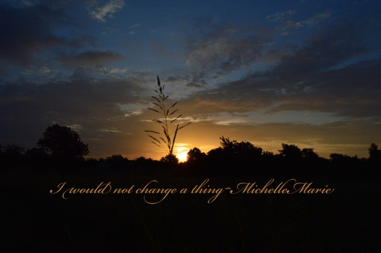 iwouldnotchangeathing copy