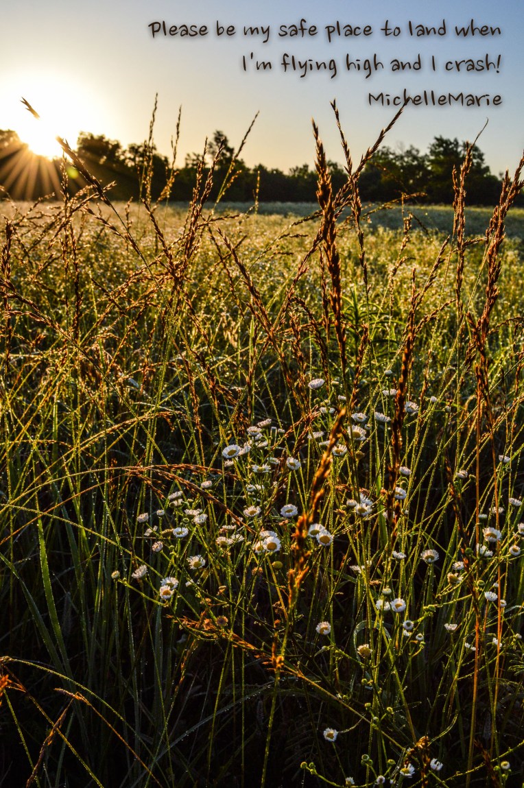 Safeplacetoland (1 of 1)