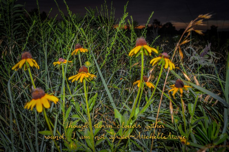 Though storms clouds gather (1 of 1)