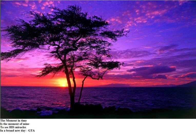 UncleGunnSunriseNsnow