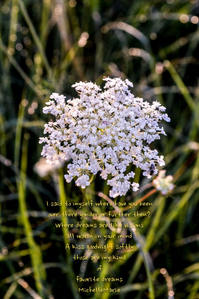 Delicatethoughts (1 of 1)