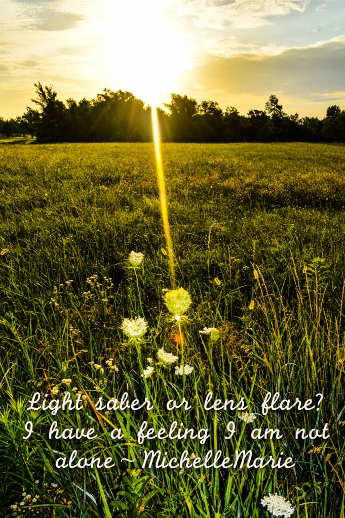 Doyouthinkthisisisalightsaber (1 of 1)