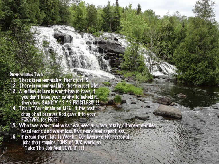 Gunnarism2 (1 of 1)-2