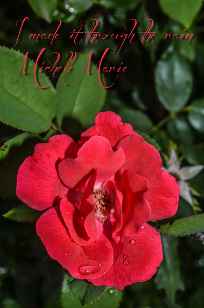 imadeitthrough (1 of 1)