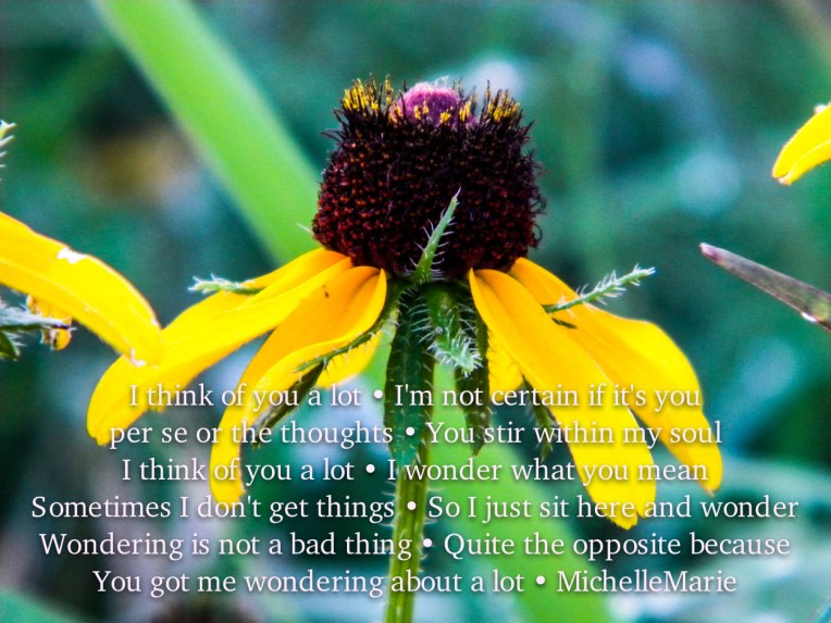 Iwonderaboutyou (1 of 1)