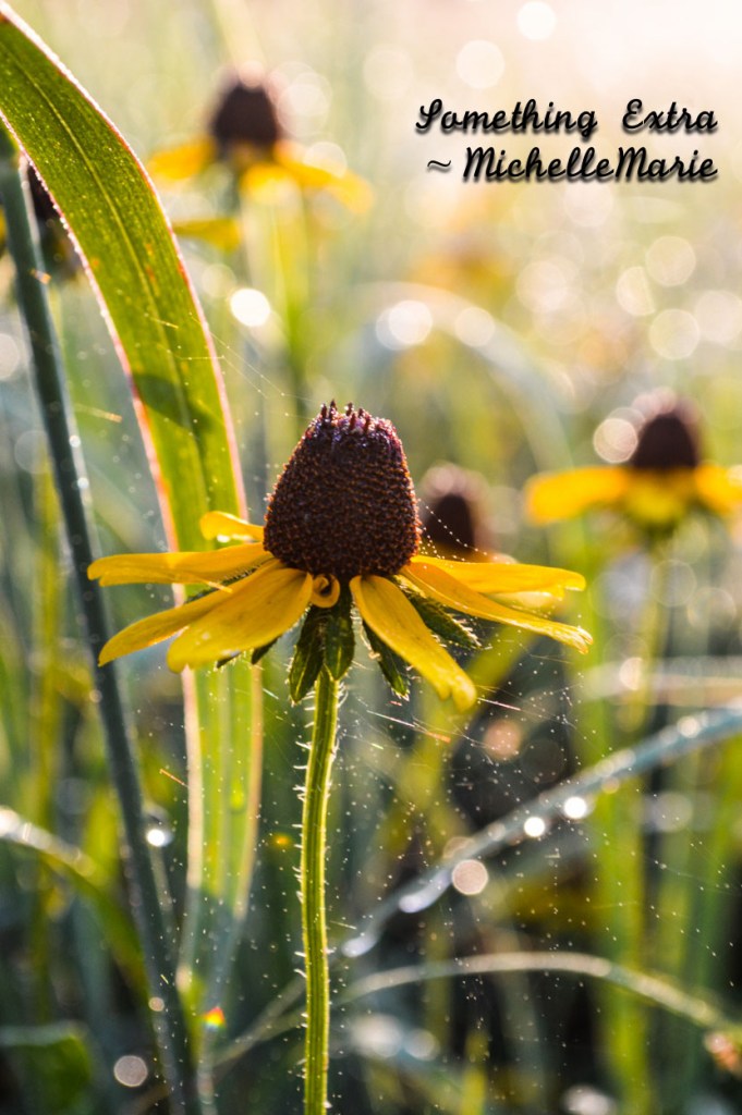 Littleextrasparkle (1 of 1)