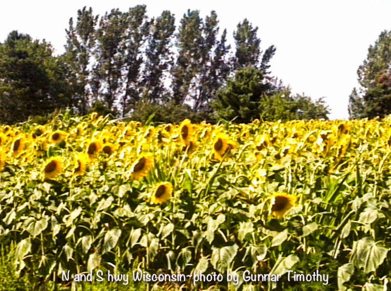 N & S hwy Wisconsin