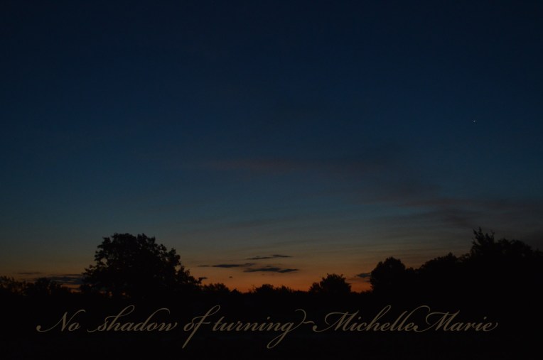 noshadowofturning copy