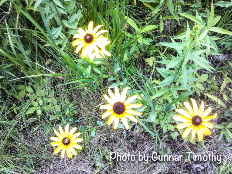 photos by Gunnar Timothy (1 of 1)