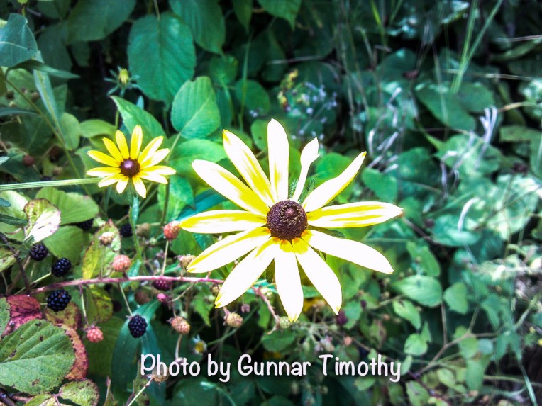 photos by Gunnar Timothy1 (1 of 1)