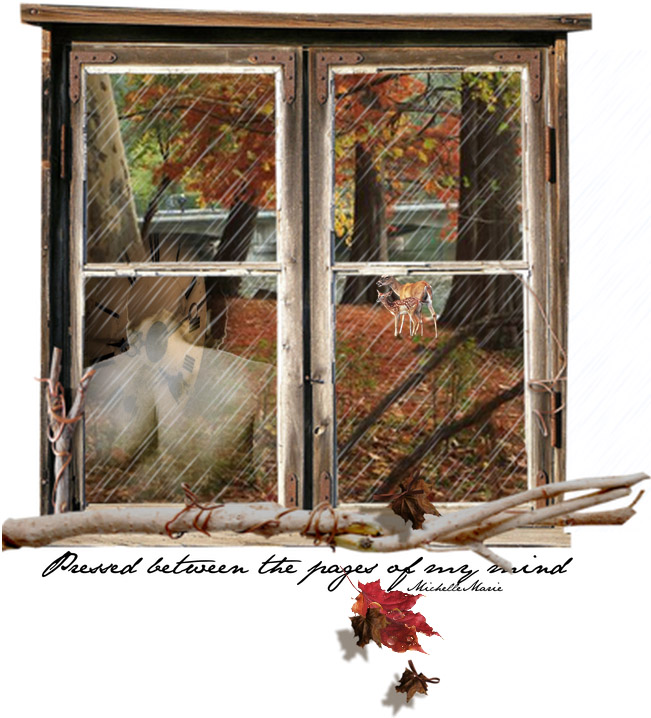 pressedbetweenthepages