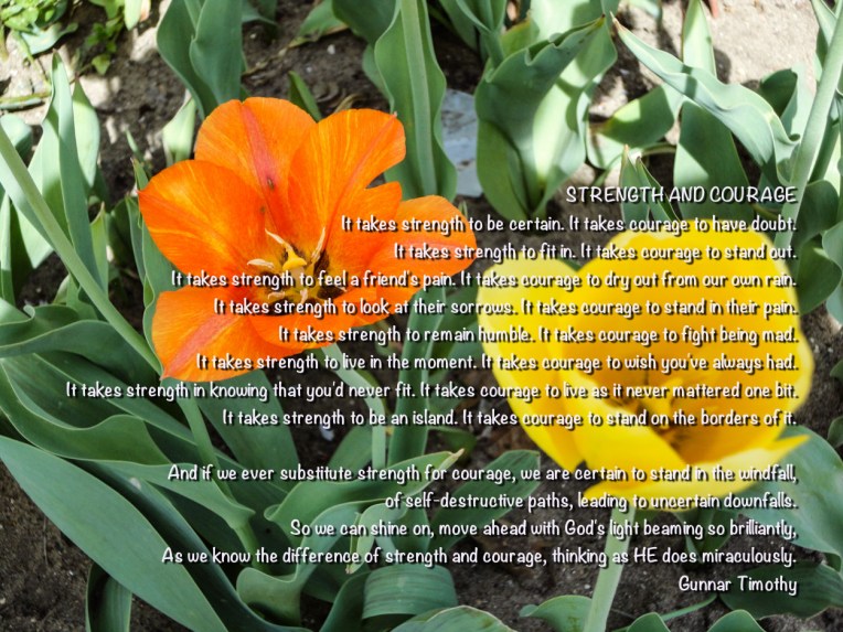 Strengthandcourage (1 of 1)