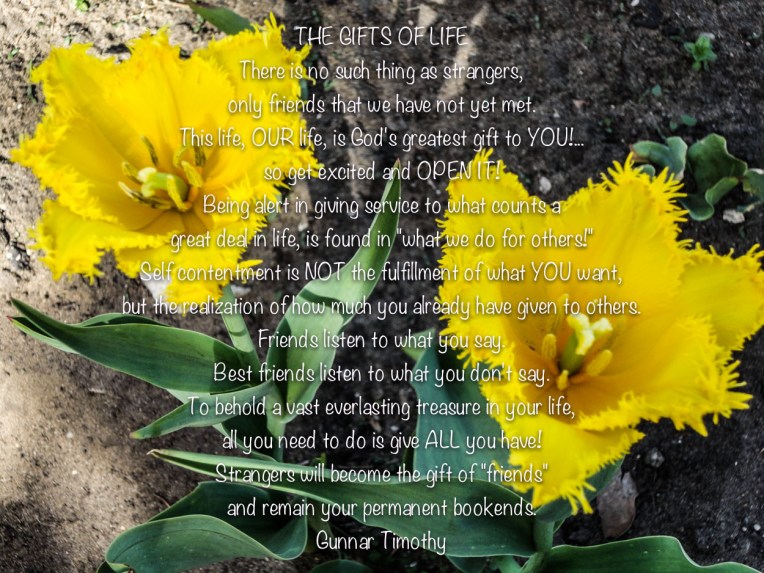 ThegiftsofLife (1 of 1)