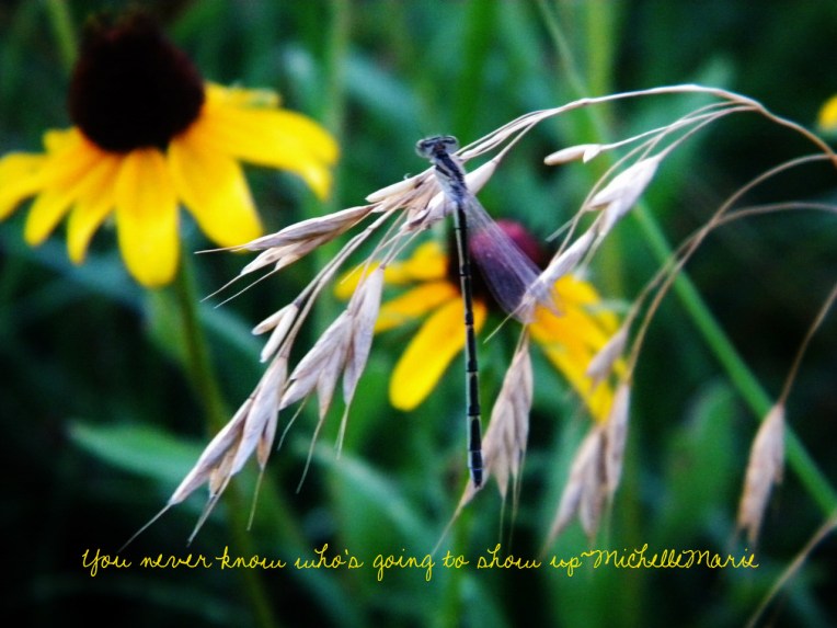 youneverknowwhosgoing to show