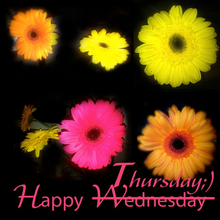 Art by MichelleMarie