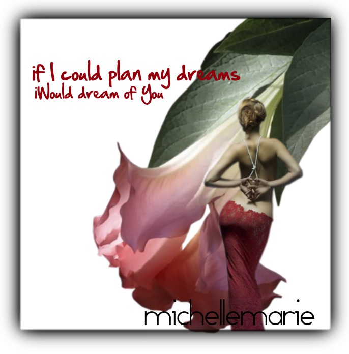 ifIcouldplanmydreams