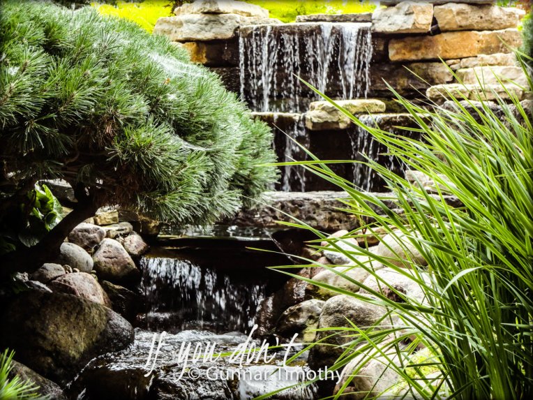 photo by Gunnar Timothy