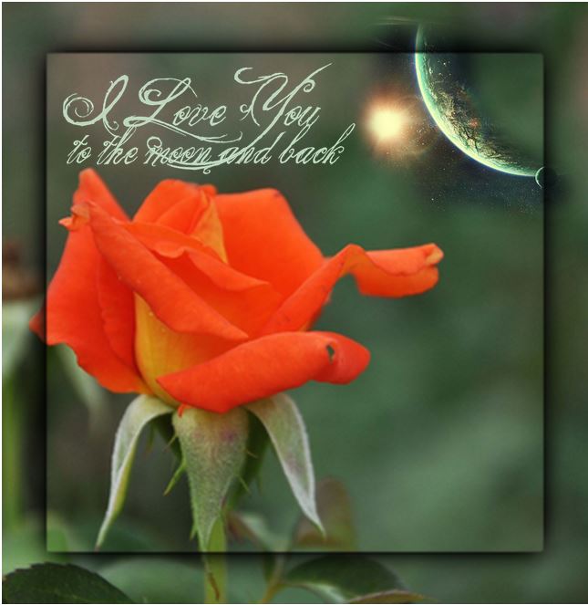 Art by MichelleMarie