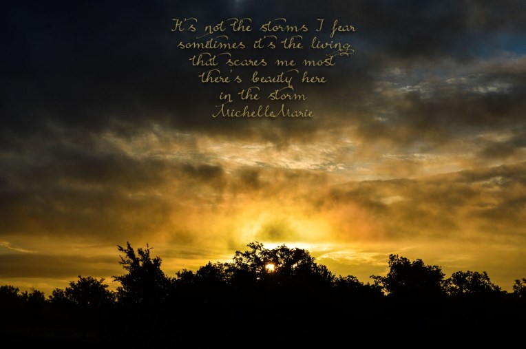 itsnotthestorm (1 of 1)