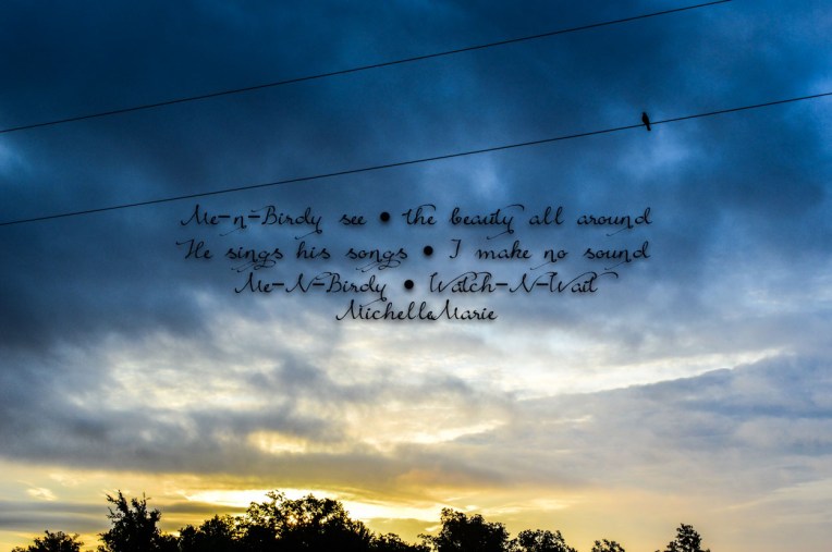 Littlebirdy (1 of 1)