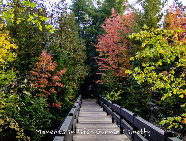 photo by Gunnar Timothy