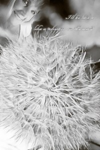 PhotoMania_1408267173015