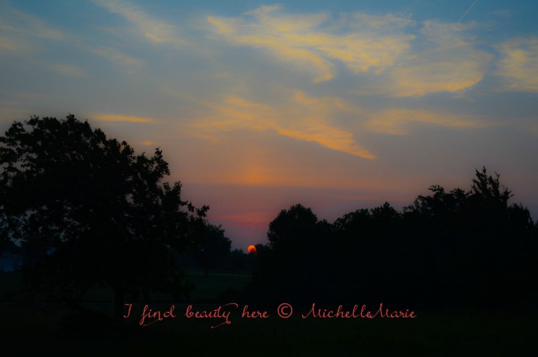 Thinkingofyou (1 of 1)