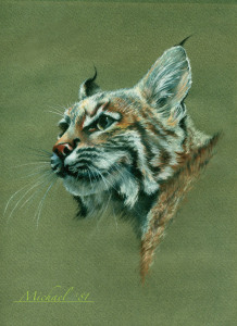 This painting was done using Prisma Color pencils on acid-free paper.