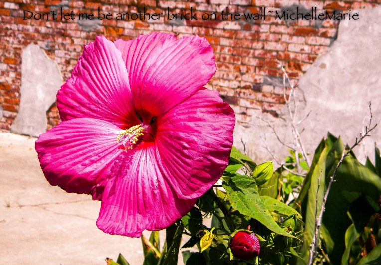 Brickonthewall (1 of 1)