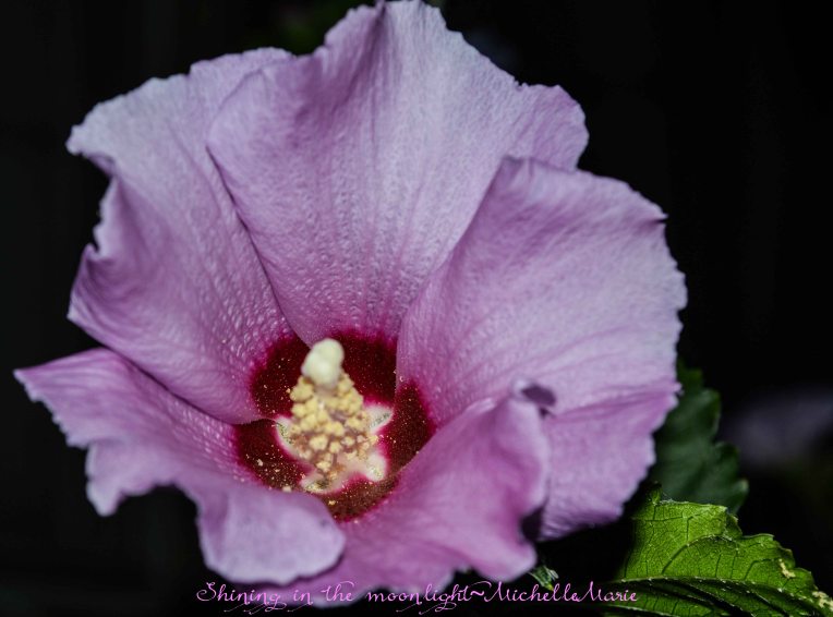 brightbynight (1 of 1)-2