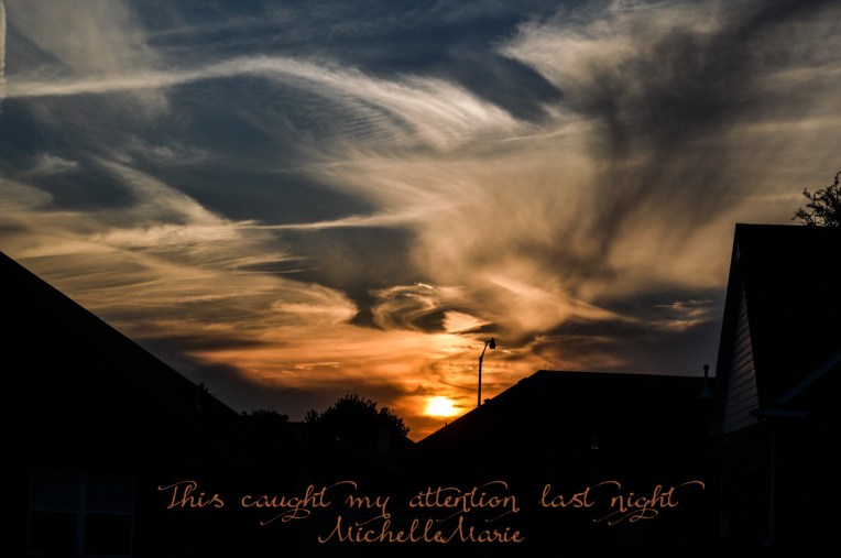 caughtmyattention (1 of 1)