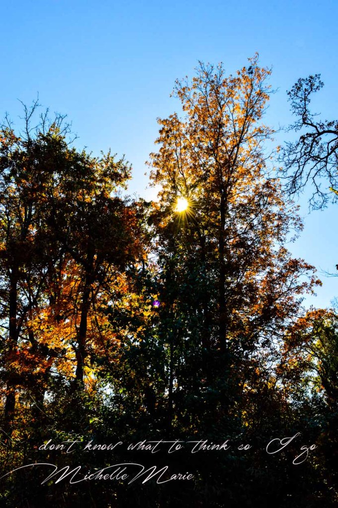 don'tknowwhattothink (1 of 1)