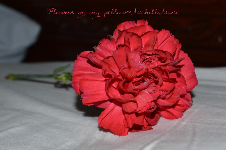 flowersonmypillow (1 of 1)
