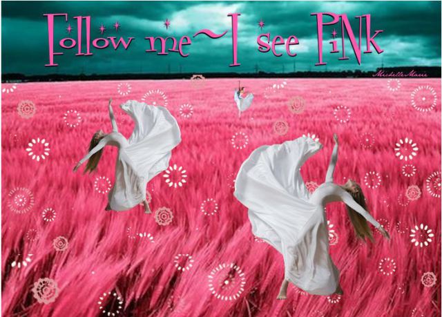 followmeiseepink[1]