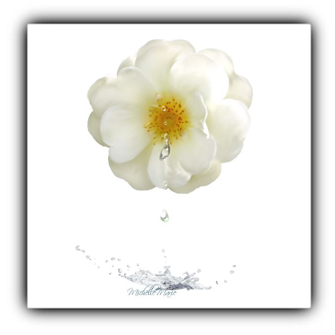 Art by MichelleMarie